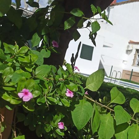 Casa Turquesa Villa Valencina de la Concepción Eksteriør billede