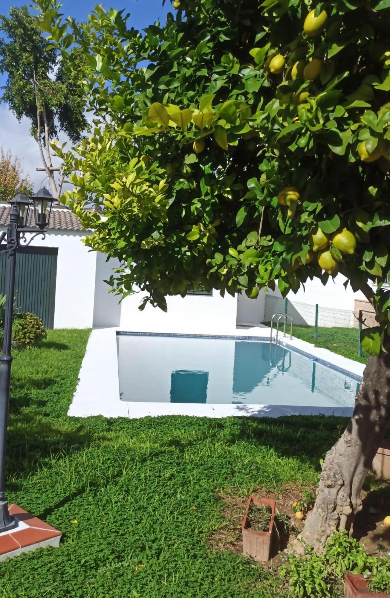 Casa Turquesa Villa Valencina de la Concepción Eksteriør billede
